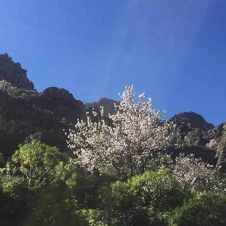 On Balcony Of The Atlantic Villa Playa de Santiago (Isla de la Gomera)